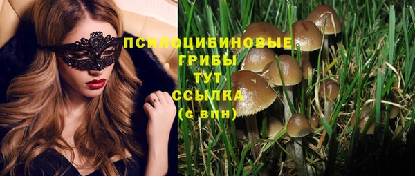 мет Осинники