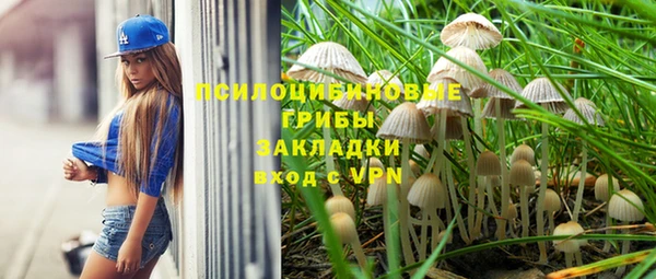 мет Осинники