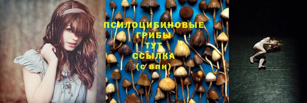 дживик Осташков