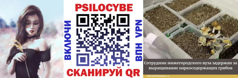 Галлюциногенные грибы мицелий  Майский 