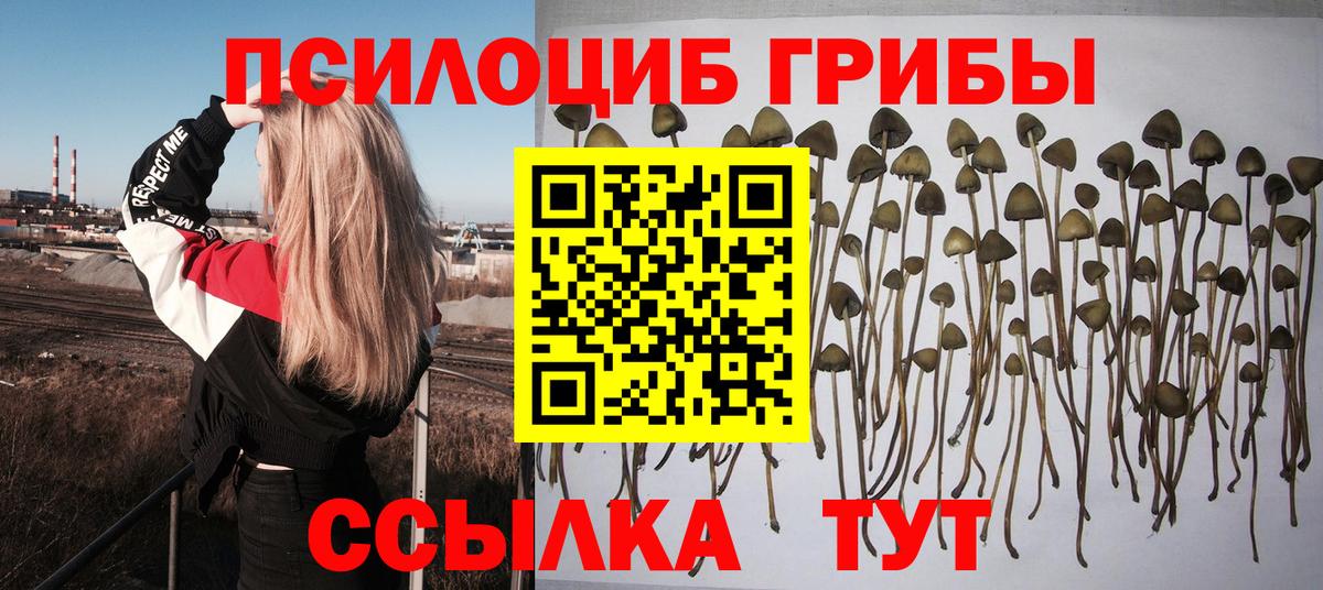 Галлюциногенные грибы MAGIC MUSHROOMS Майский