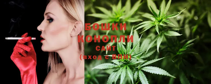 Шишки марихуана SATIVA & INDICA  где купить наркотик  блэк спрут рабочий сайт  Майский 